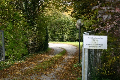 eingang