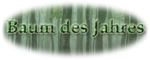 Baum des Jahres