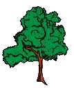 baum1.gif